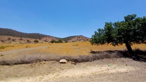 image-moyen-atlas-maroc