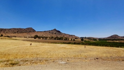 images-moyen-atlas-maroc