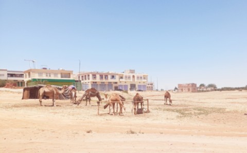 moyen-atlas-marocain