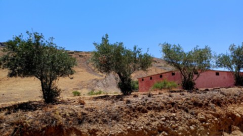 Photo-moyen-atlas-maroc