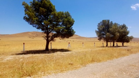tapis-moyen-atlas-maroc